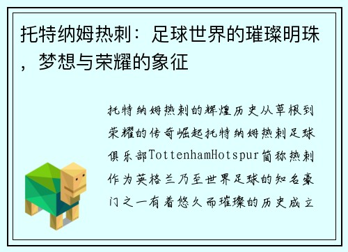 托特纳姆热刺：足球世界的璀璨明珠，梦想与荣耀的象征
