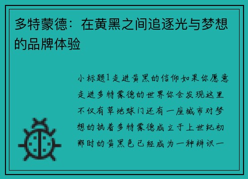 多特蒙德：在黄黑之间追逐光与梦想的品牌体验